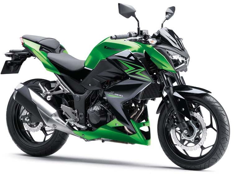 Z 300 (2015-16)