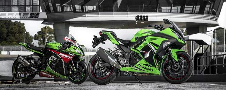 Ninja 300 SBK Special Edition (2014)