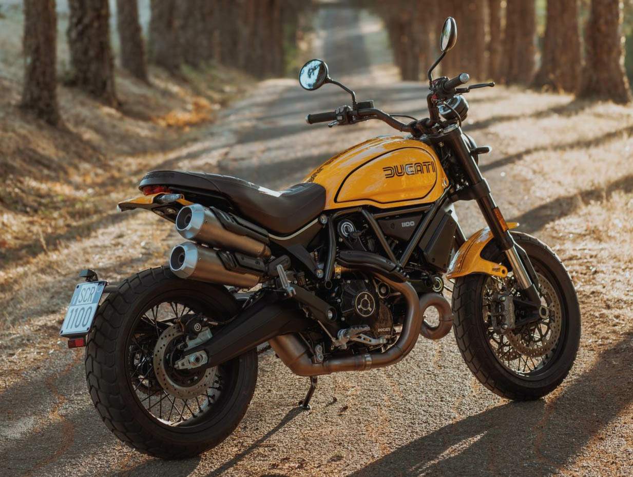 Scrambler 1100 Tribute Pro (2022)