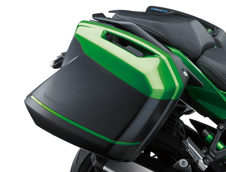 H2-SX Ninja SE (2018-19)