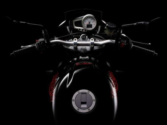 Speed Triple 1050 15th Anniversary Edition (2009)