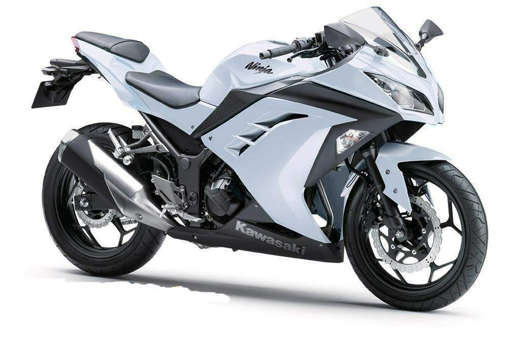 Ninja 300 (2015)