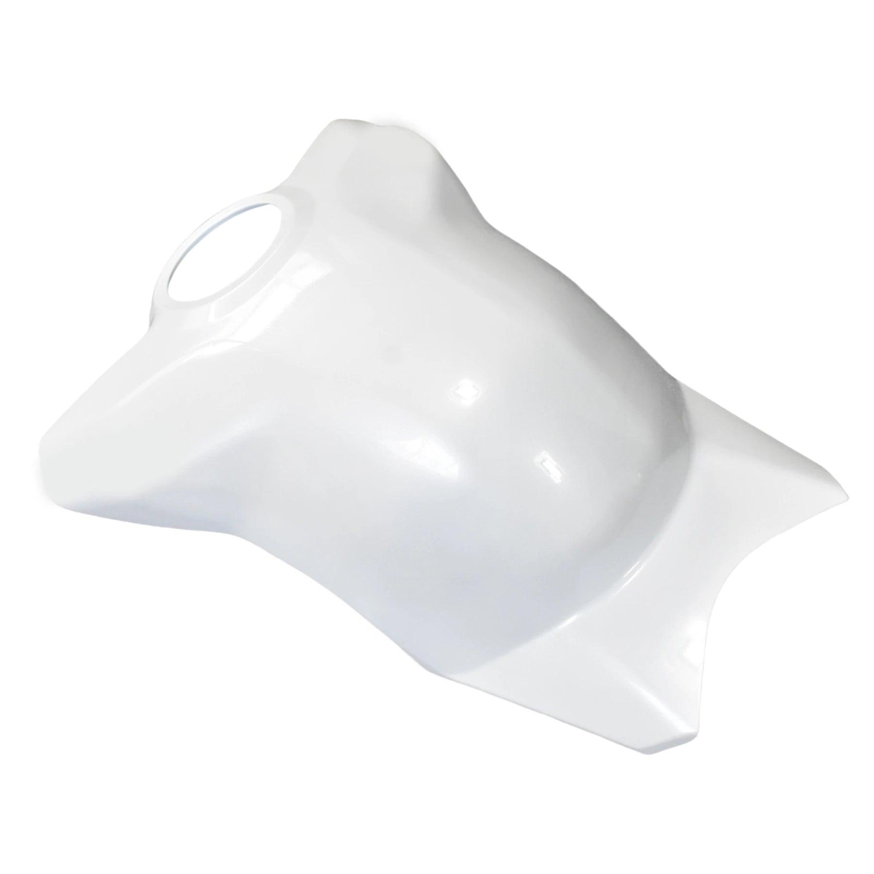 Motorcycle Accessories Front Gas Fuel Tank Cover Fairing Fit For Ducati Panigale V4 V4S V4R Streetfighter V4 HXLMOTOR