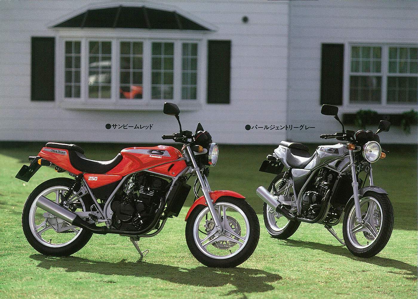 BR 250Casual Sports (1985)