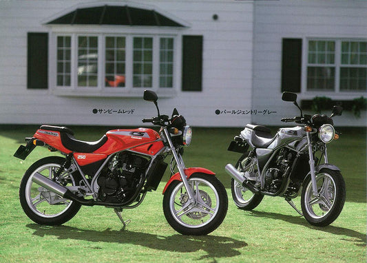 BR 250Casual Sports (1985)