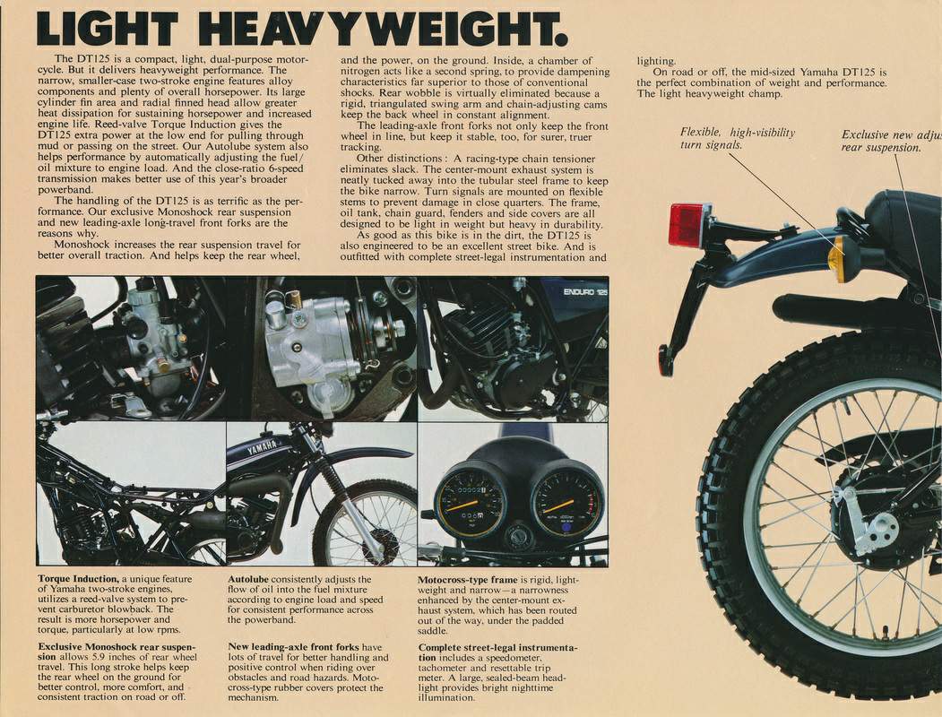 DT 12 (1978-79)