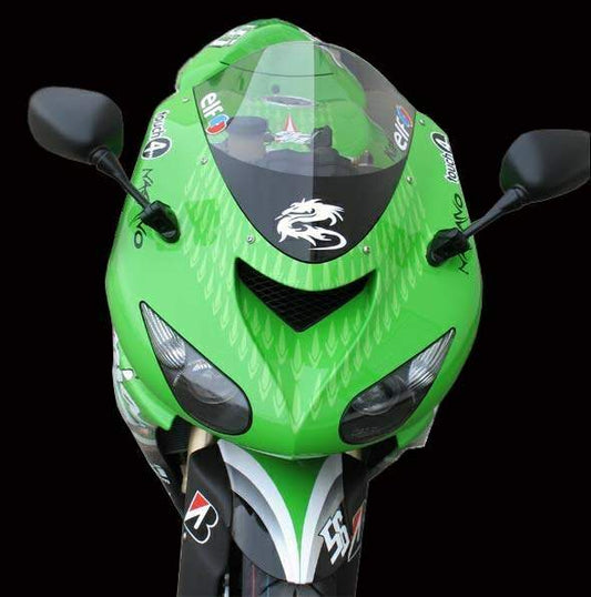 ZX-10RNinja MotoGPReplica (2006)