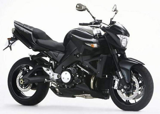 GSX 1300 B-King Hamamatsu Hyaku Limited Edition (2010)