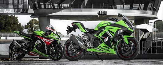 Ninja 300 SBK Special Edition (2014)