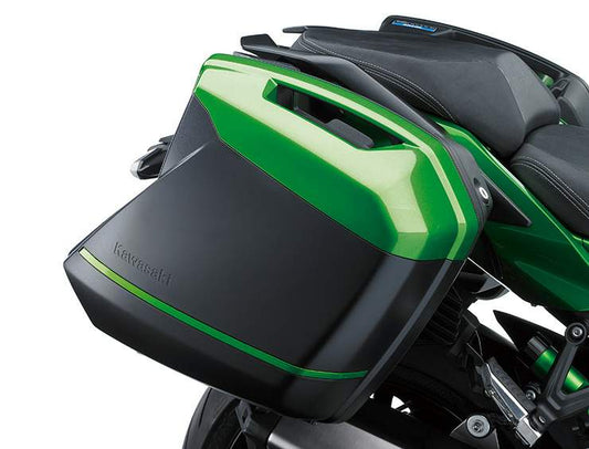 H2-SX Ninja SE (2018-19)