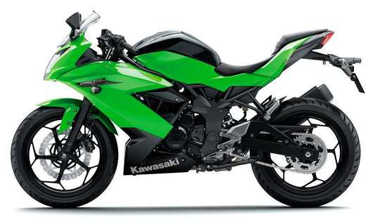 Ninja 250RR Mono (2016-)