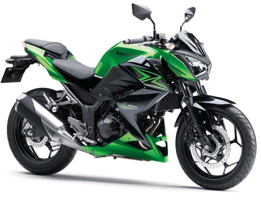Z 300 (2019-20)