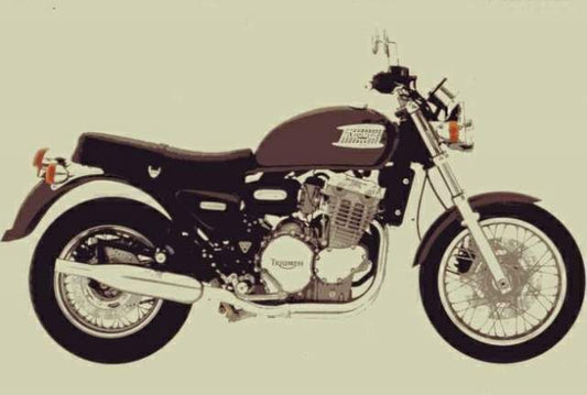 Thunderbird 900 (1995-04)